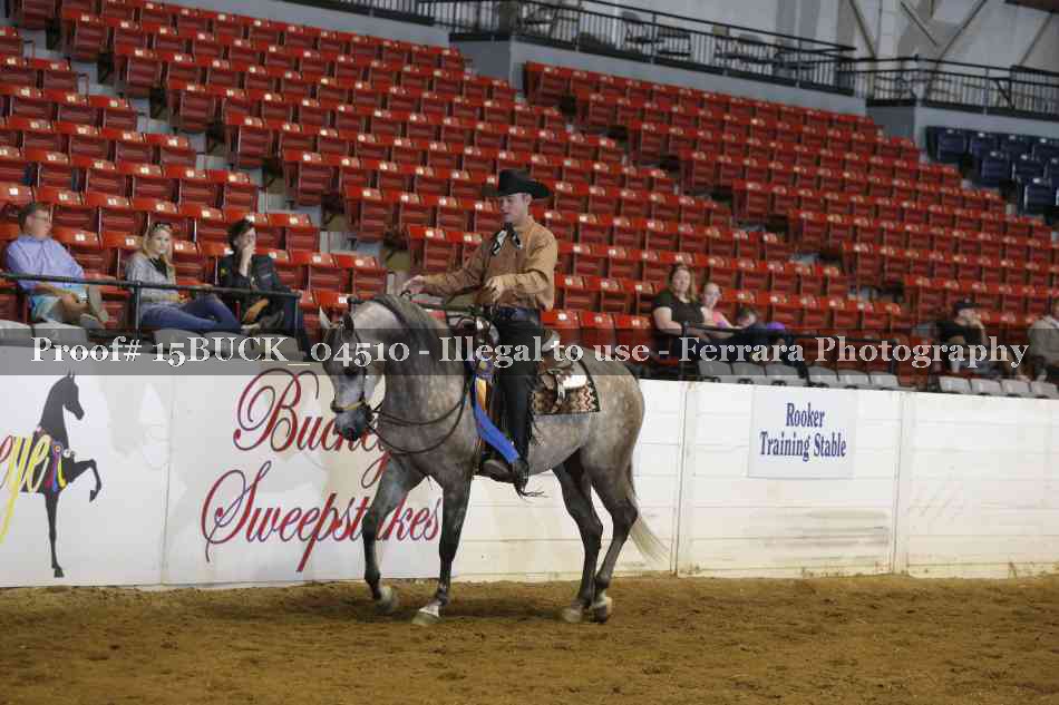 Proof 15BUCK_04510