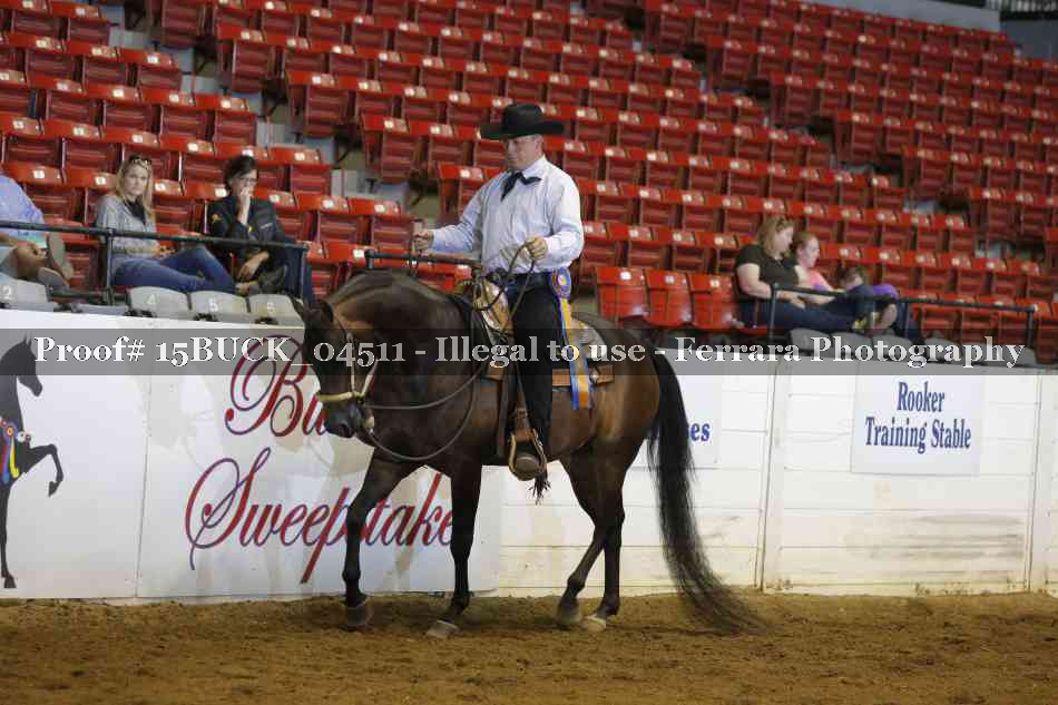 Proof 15BUCK_04511