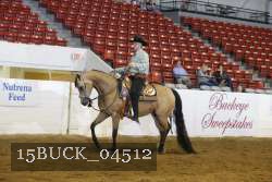 15BUCK_04512 proof