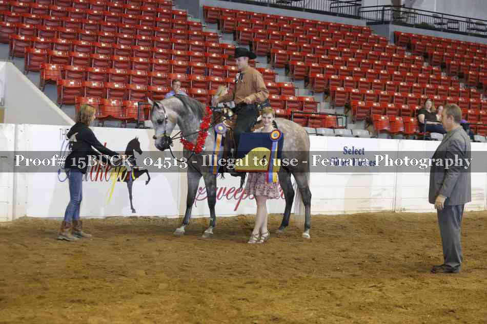 Proof 15BUCK_04513