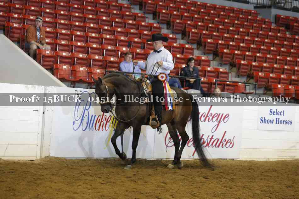 Proof 15BUCK_04514