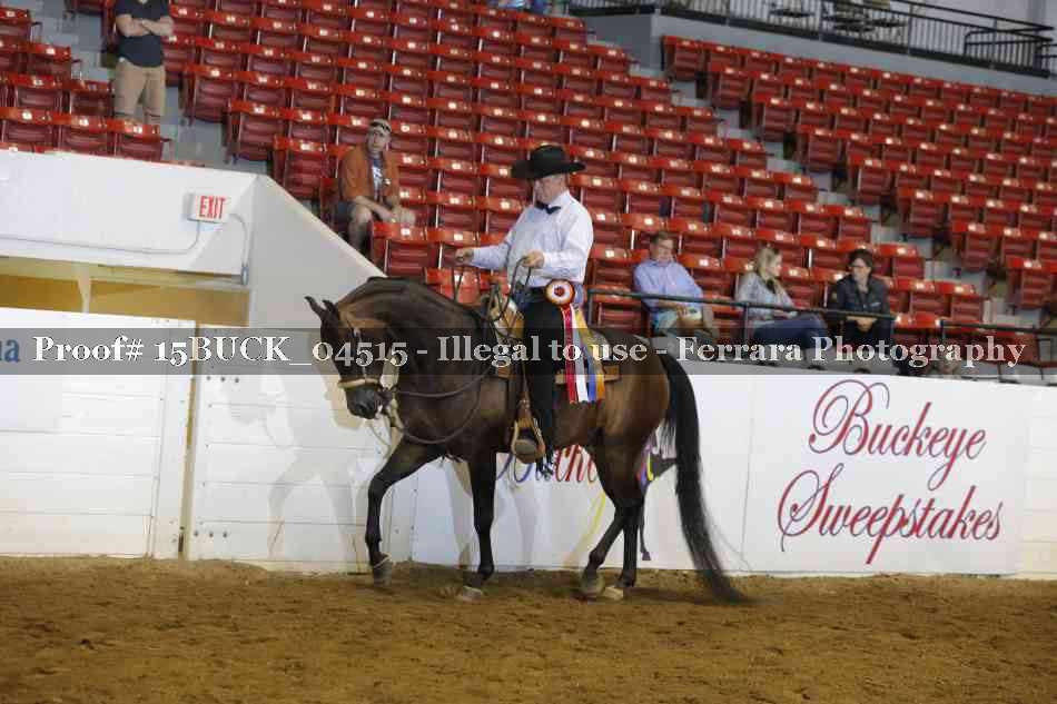 Proof 15BUCK_04515