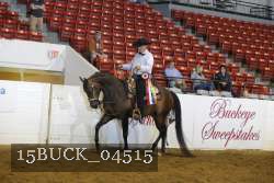 15BUCK_04515 proof