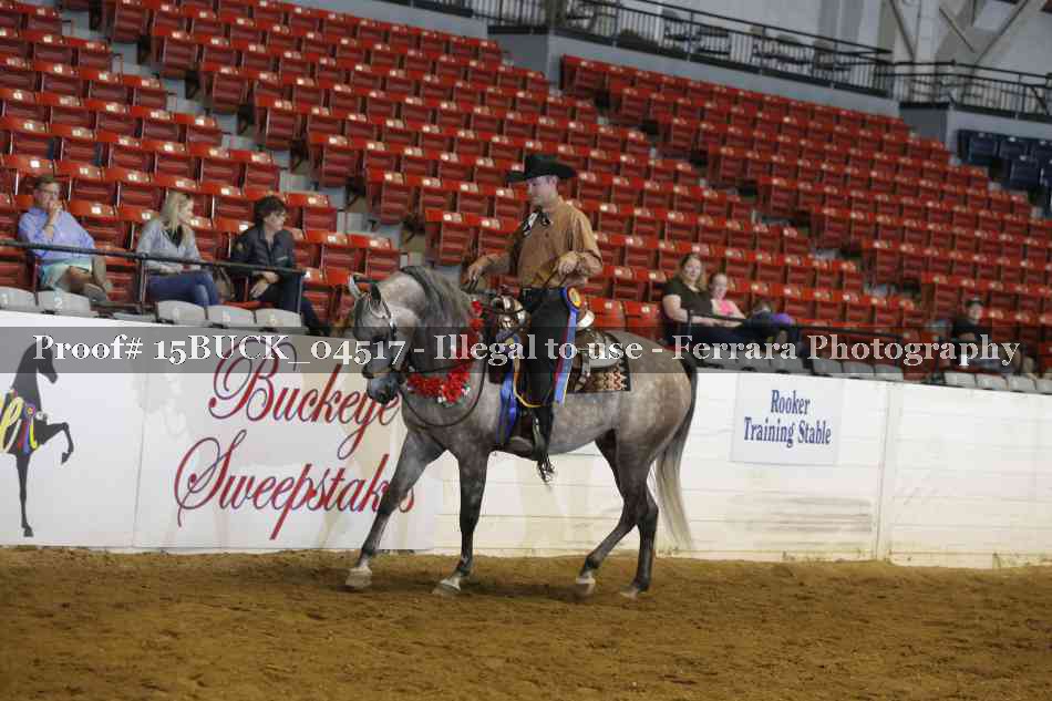 Proof 15BUCK_04517