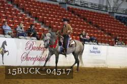 15BUCK_04517 proof