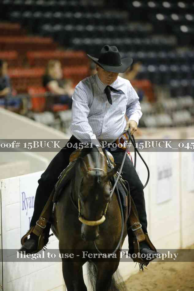 Proof 15BUCK_04521