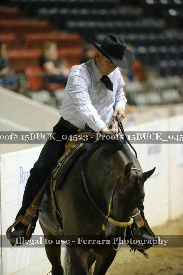 Proof 15BUCK_04523