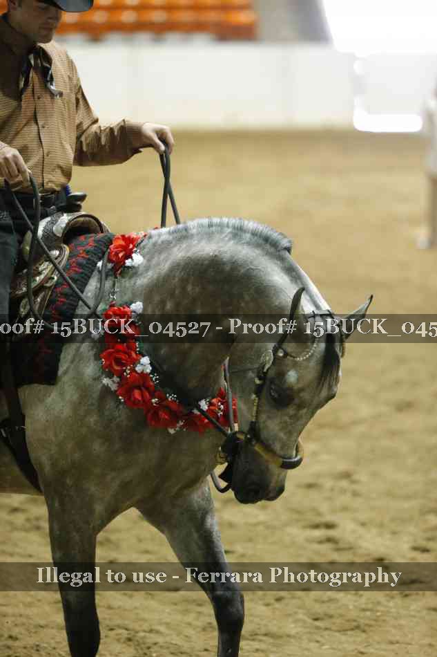 Proof 15BUCK_04527