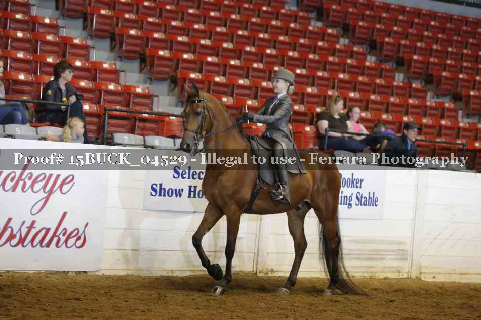 Proof 15BUCK_04529