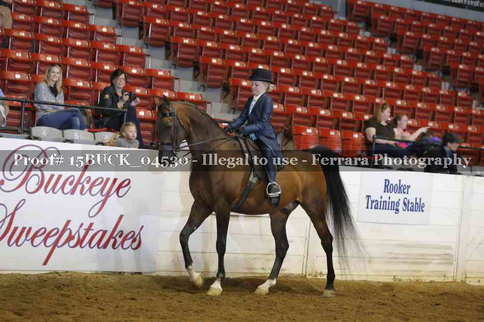 Proof 15BUCK_04530