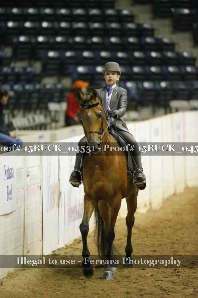 Proof 15BUCK_04531