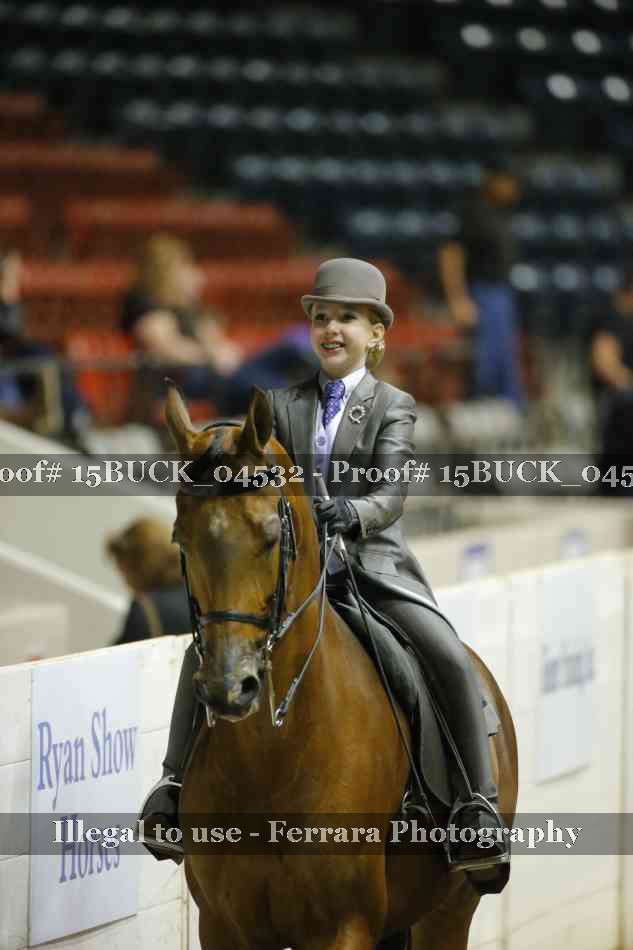 Proof 15BUCK_04532