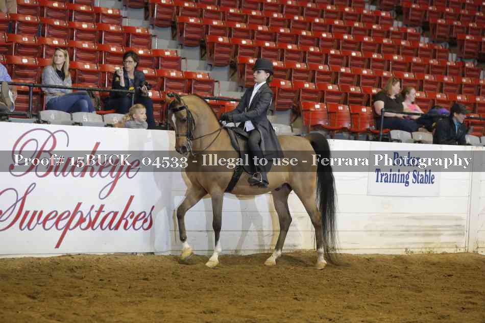 Proof 15BUCK_04533