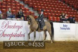 15BUCK_04533 proof