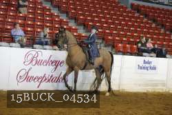 15BUCK_04534 proof