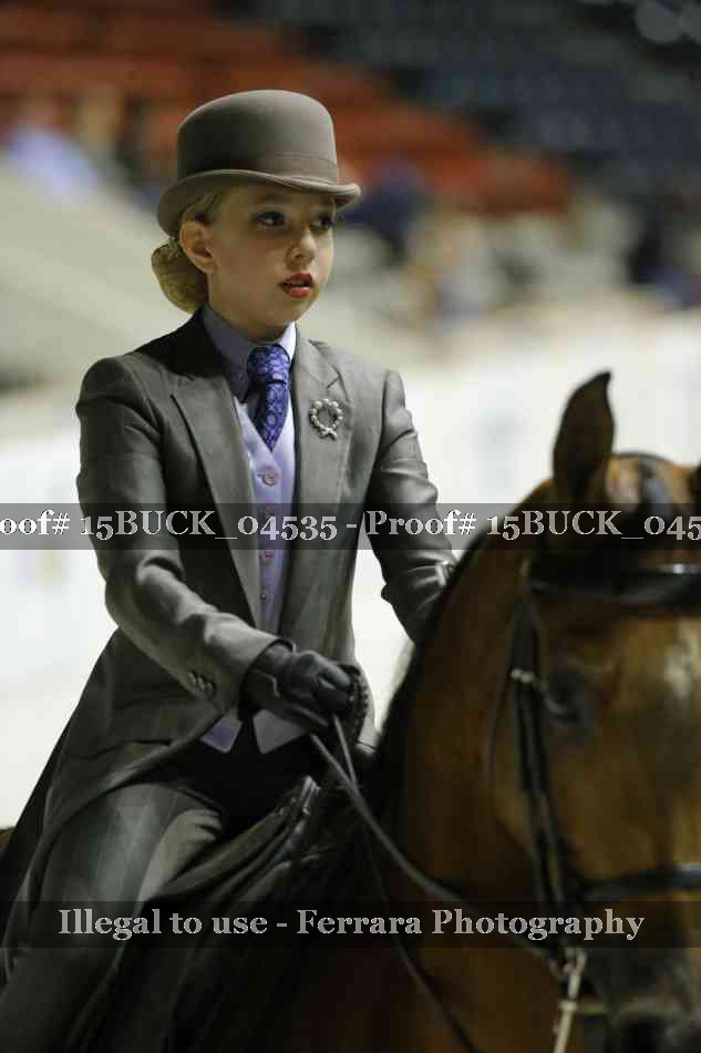 Proof 15BUCK_04535