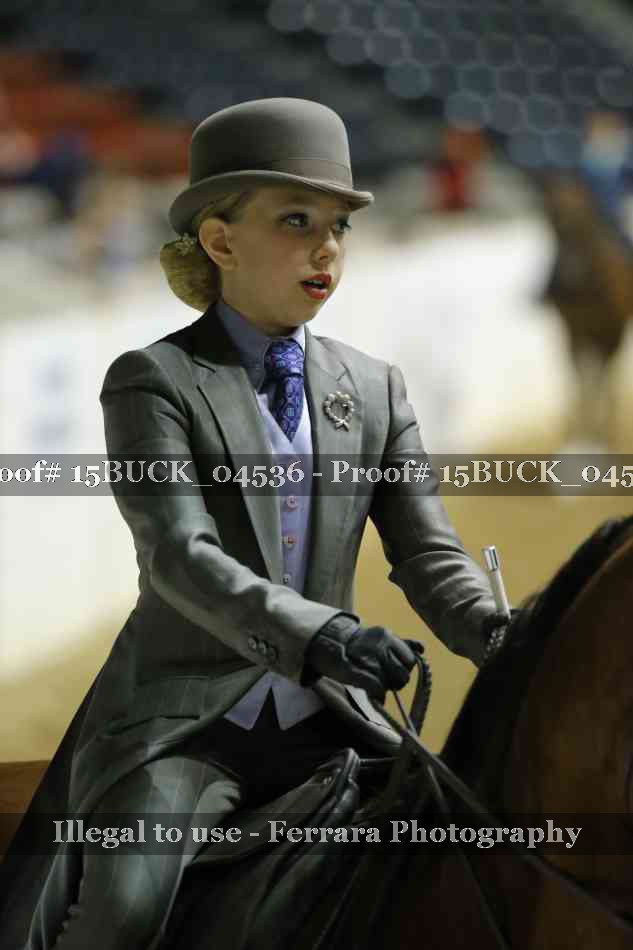 Proof 15BUCK_04536