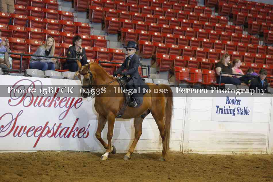 Proof 15BUCK_04538