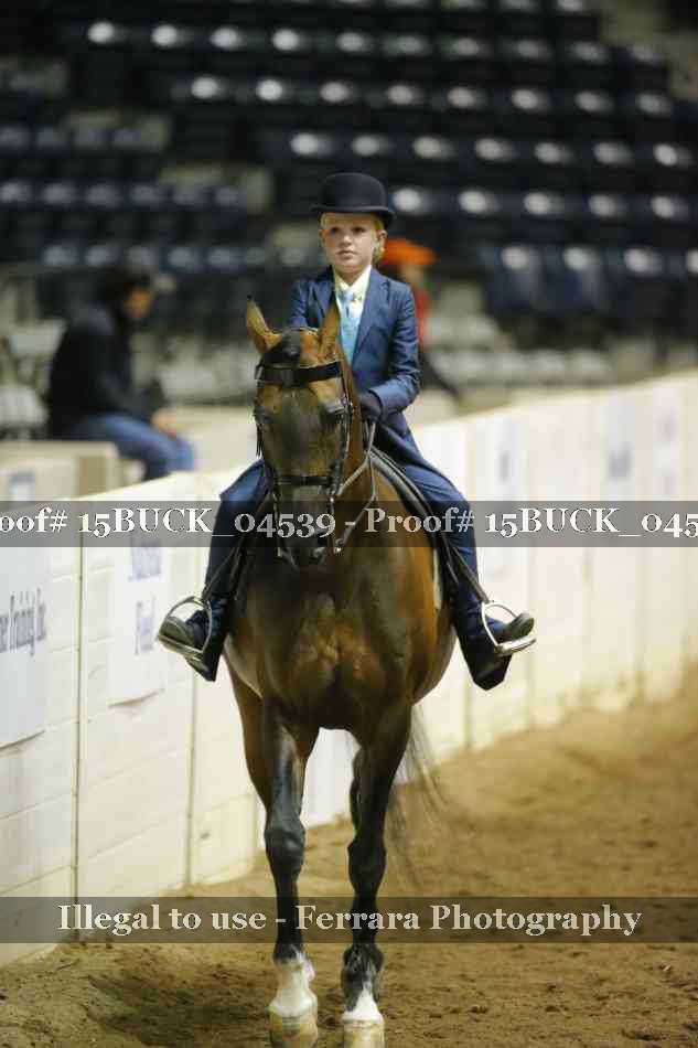 Proof 15BUCK_04539