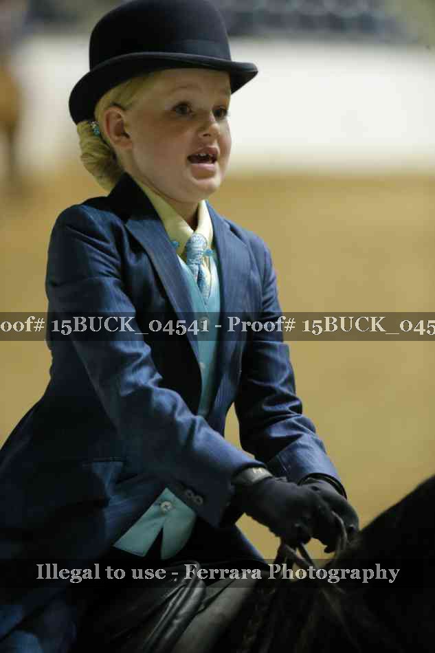 Proof 15BUCK_04541