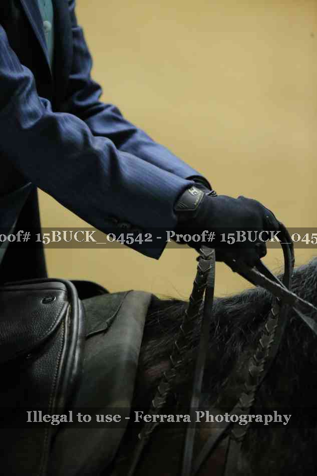 Proof 15BUCK_04542