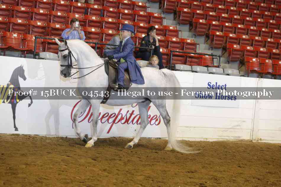 Proof 15BUCK_04543