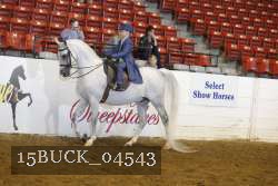 15BUCK_04543 proof