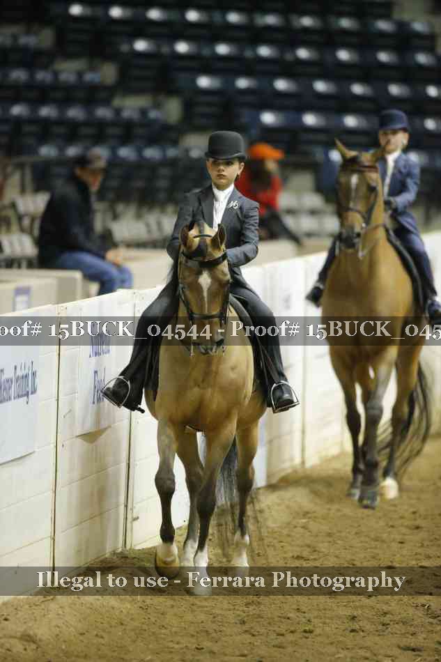 Proof 15BUCK_04544
