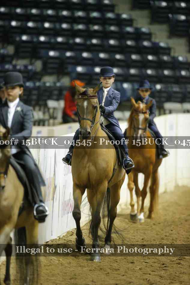 Proof 15BUCK_04545