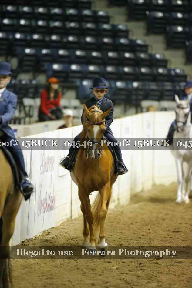 Proof 15BUCK_04546