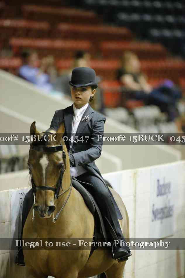 Proof 15BUCK_04547