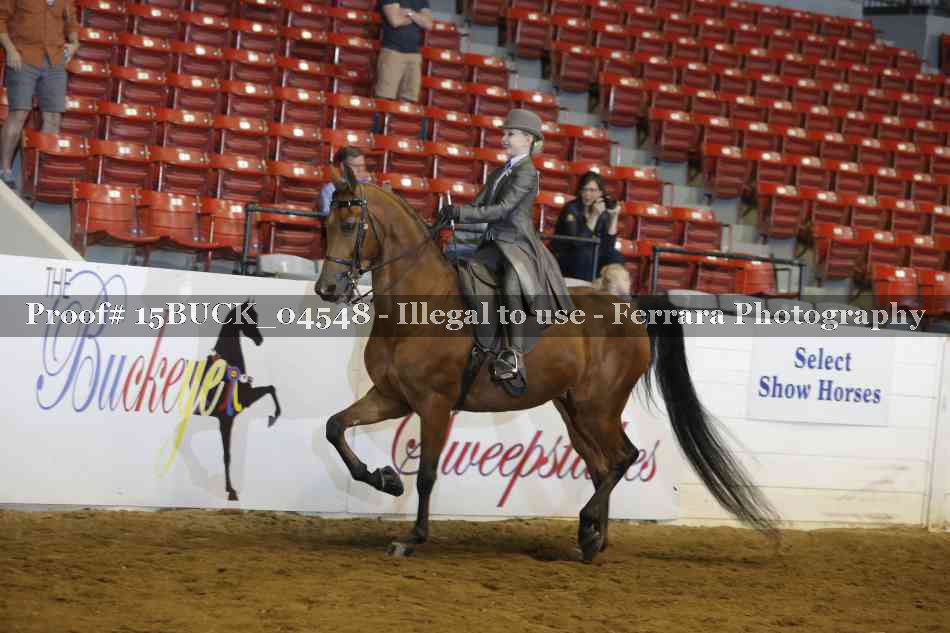 Proof 15BUCK_04548