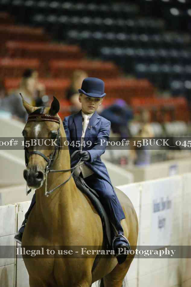 Proof 15BUCK_04549