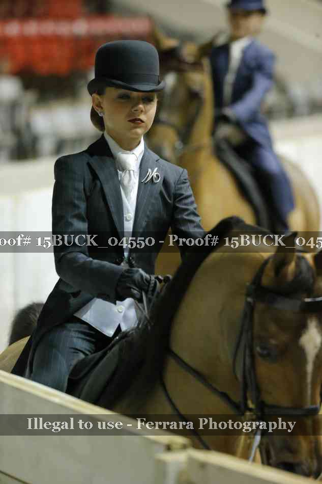 Proof 15BUCK_04550