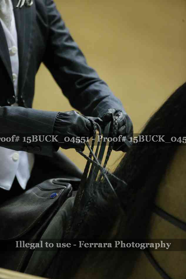 Proof 15BUCK_04551