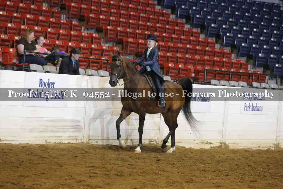 Proof 15BUCK_04552