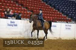 15BUCK_04552 proof
