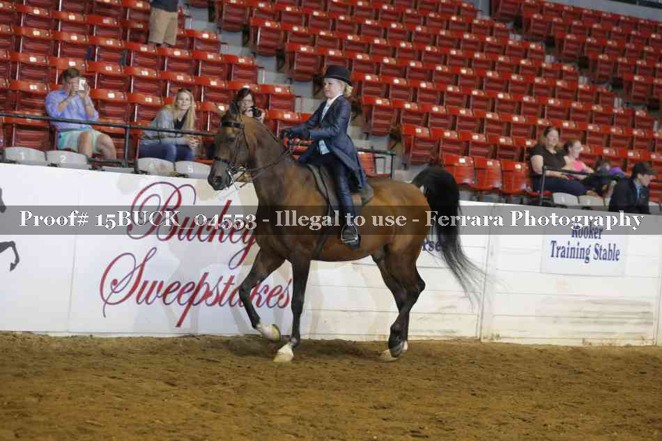 Proof 15BUCK_04553