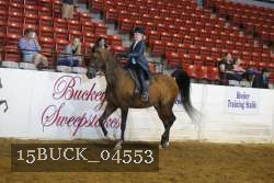 15BUCK_04553 proof