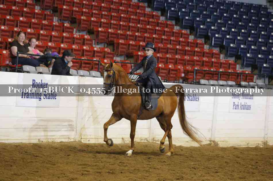 Proof 15BUCK_04555