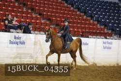 15BUCK_04555 proof