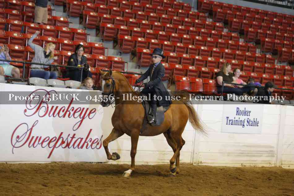 Proof 15BUCK_04556