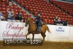 15BUCK_04556 proof