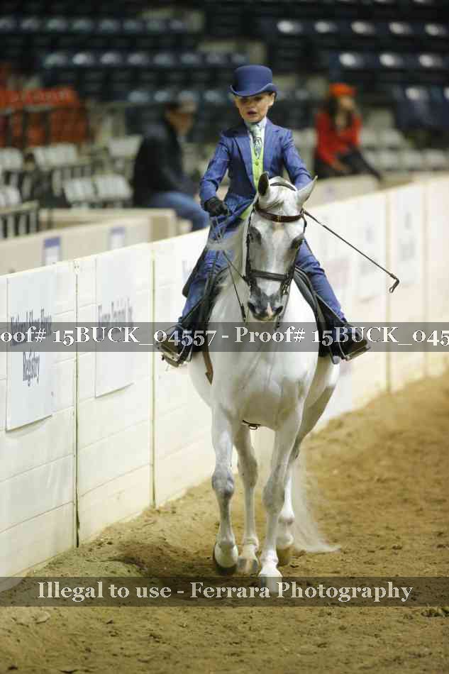 Proof 15BUCK_04557