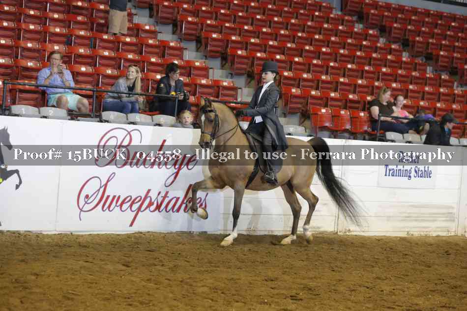 Proof 15BUCK_04558