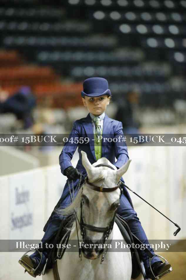Proof 15BUCK_04559