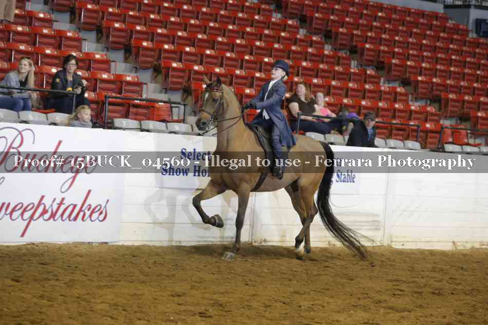 Proof 15BUCK_04560