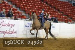 15BUCK_04560 proof