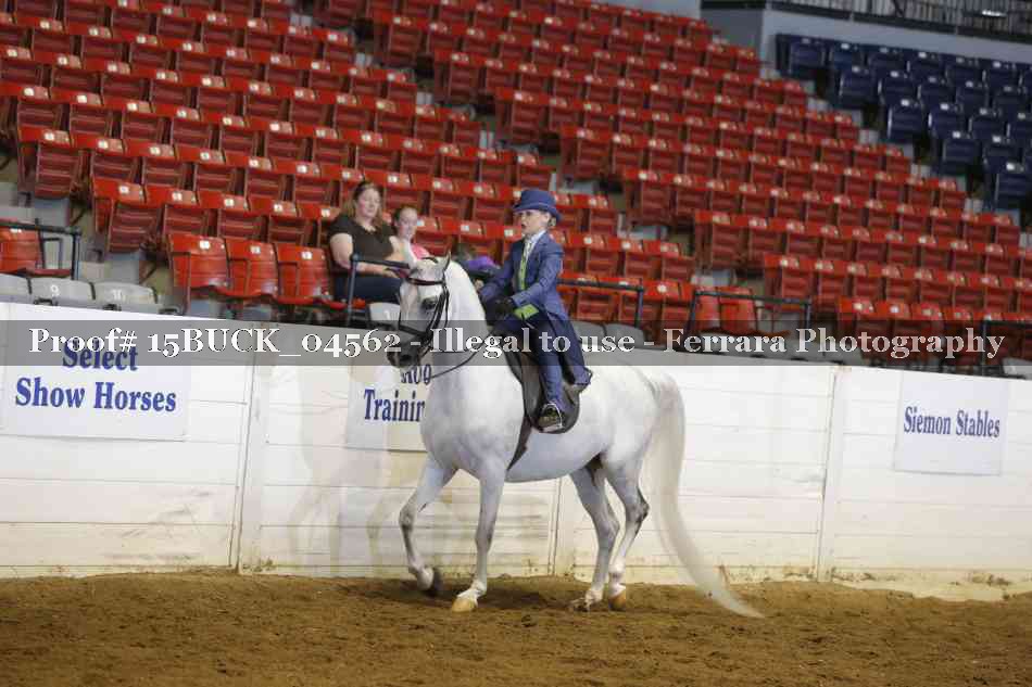 Proof 15BUCK_04562