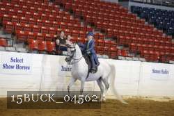 15BUCK_04562 proof
